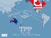Những điều cần biết về TPP